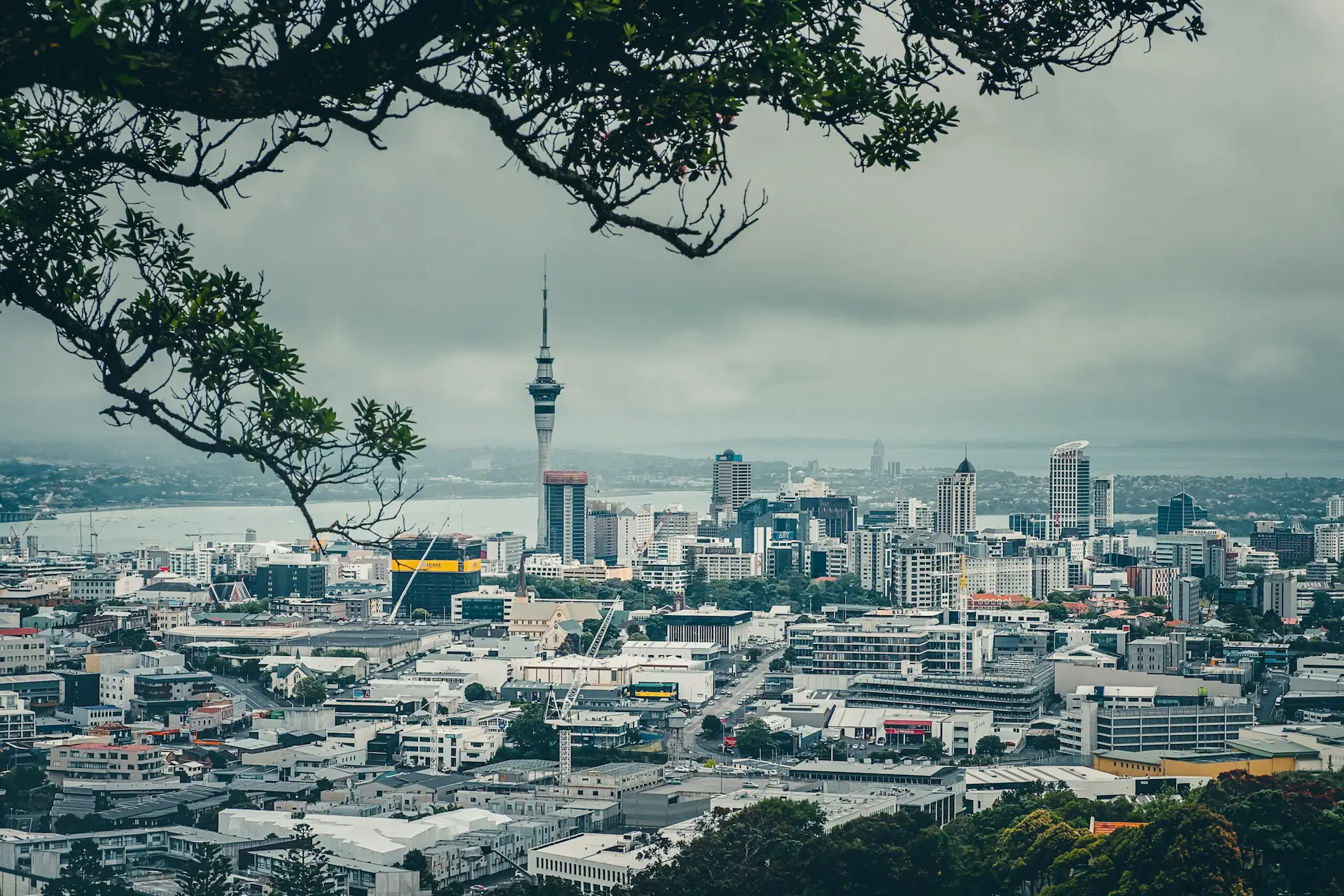 Auckland skyline at dusk